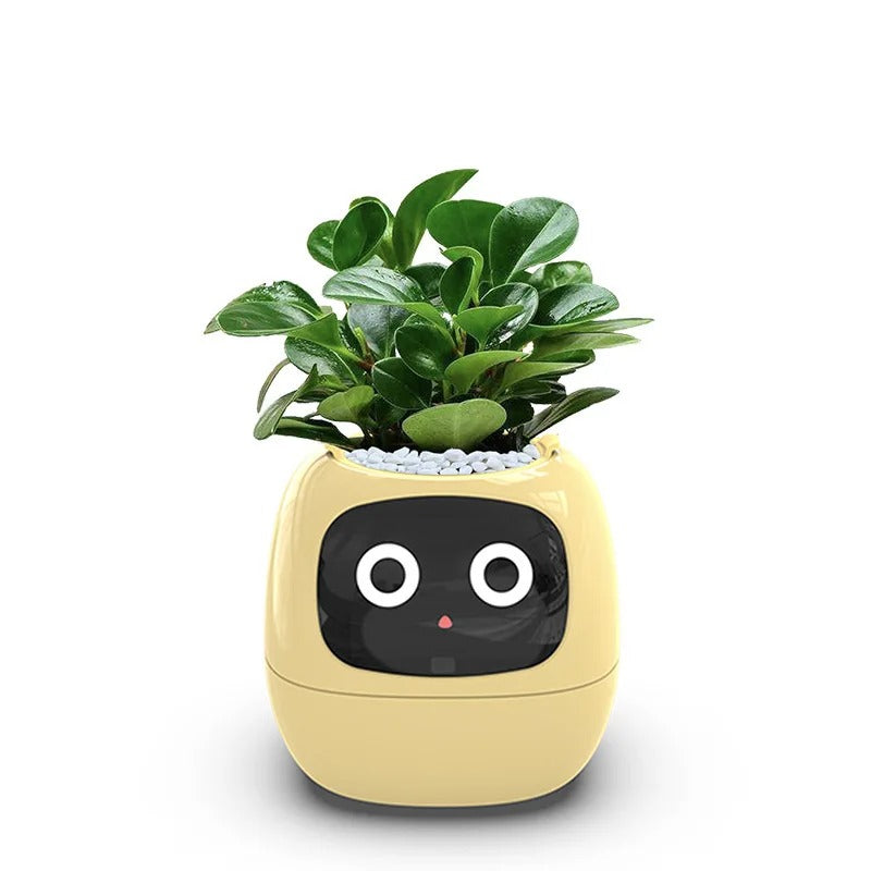 Smart Plant Ivy