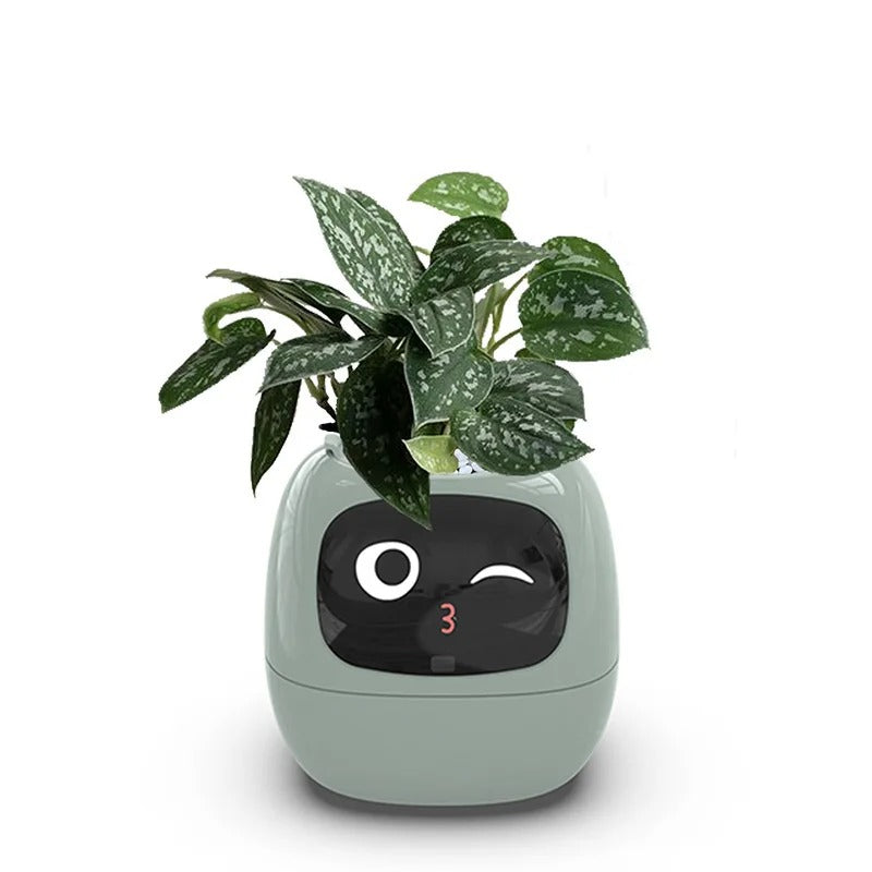 Smart Plant Ivy