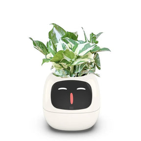 Smart Plant Ivy